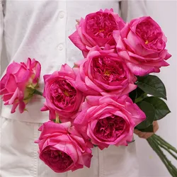 5Pc Moisturizing Austin Rose Real Touch Artificial Flowers Luxury Home Decoration Party Event Wedding Bouquet Fake Flowers Roses