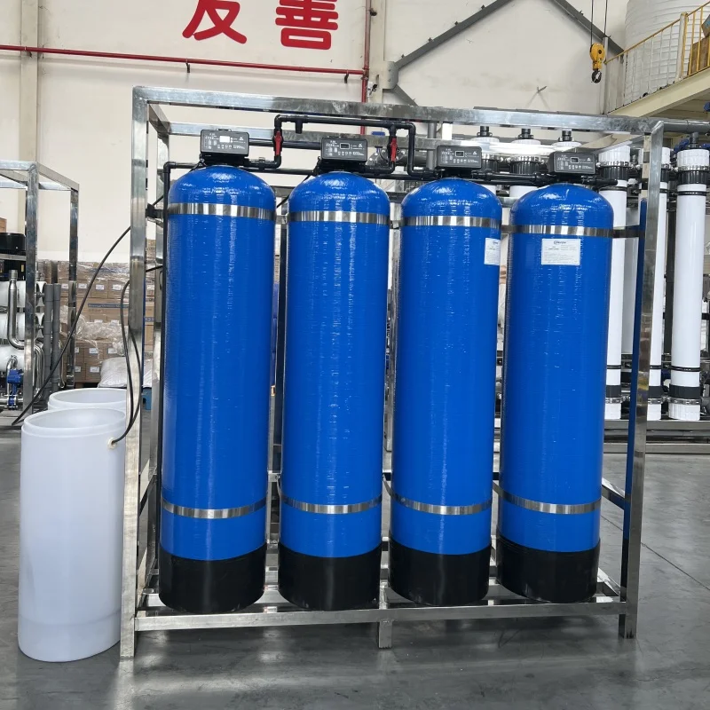 1t/h RO FRP Safety Water Filter Vessel Purified Water Drinker RO Plant with 220V Pump and PLC 1 Year Warranty