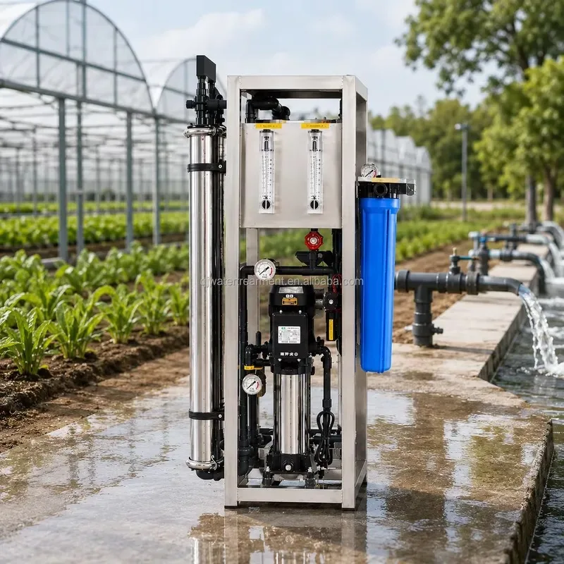 0.25T/H-0.5T/H Agricultural Irrigation Greenhouse RO System Custom Voltage CE Certified Water Filter