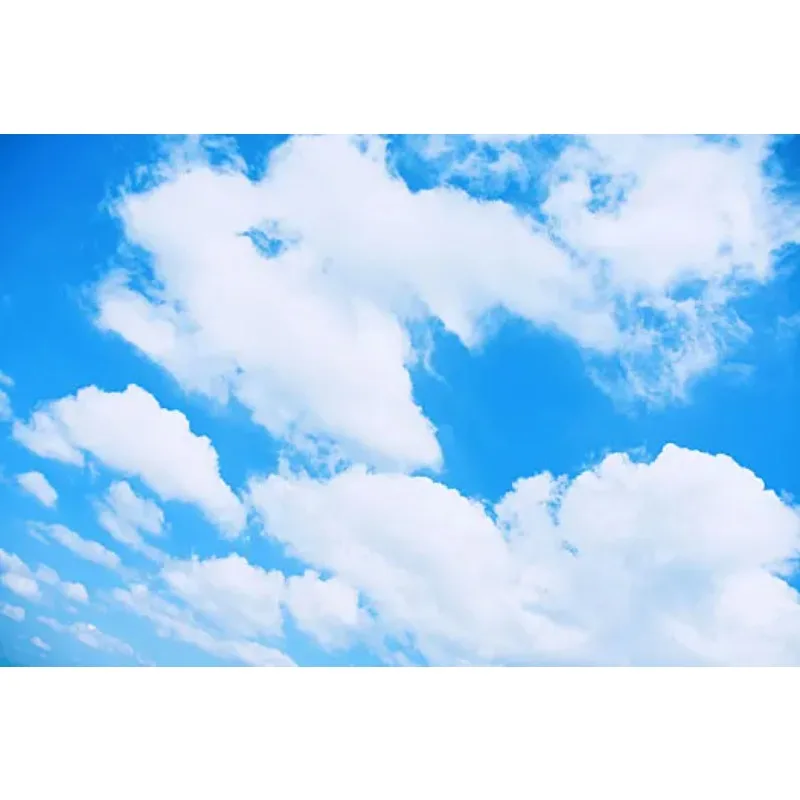 Hoc 1 Paar Kotflügelbogen-Dekoration mit Dekorationsaufkleber, Schutzaufkleber für Auto, Rad, Augenbrauen, Stoßstange, Antikollisionsstreifen