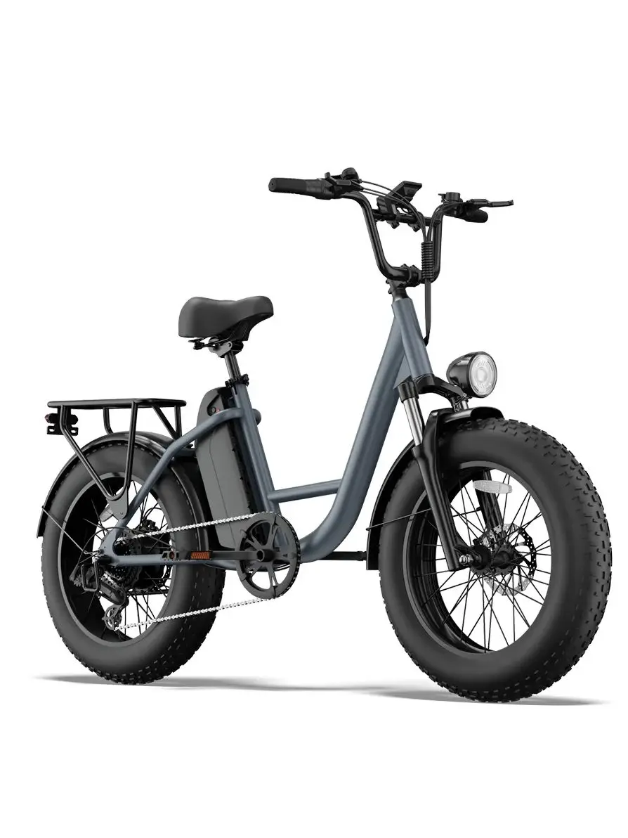 AliExpress URLIFE E20 pro 1500W motor 20-inch Fat Tire city ebike 48V 15.6Ah battery commute Electric Bike Adult E-bike