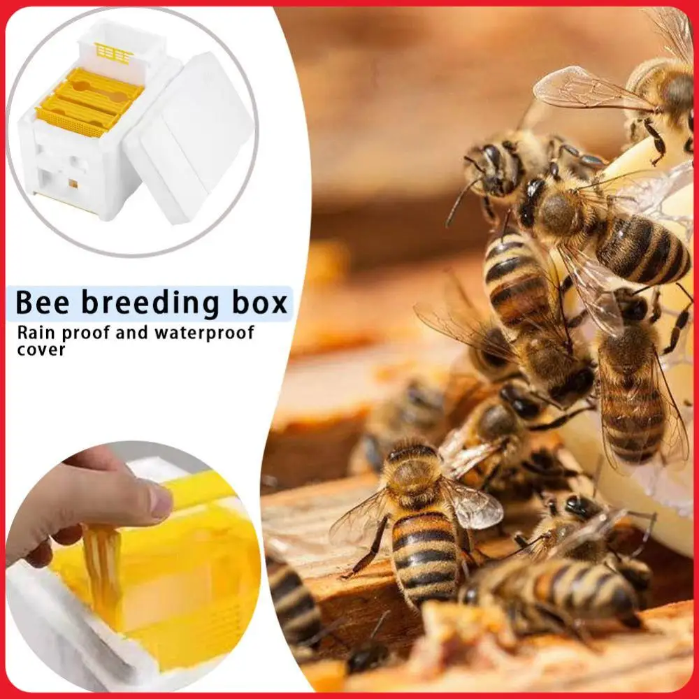 

Комплект оборудования для ульев: держатель рамок, инструменты для опыления пчел, ульев для пчеловодов, принадлежности для пчеловодства