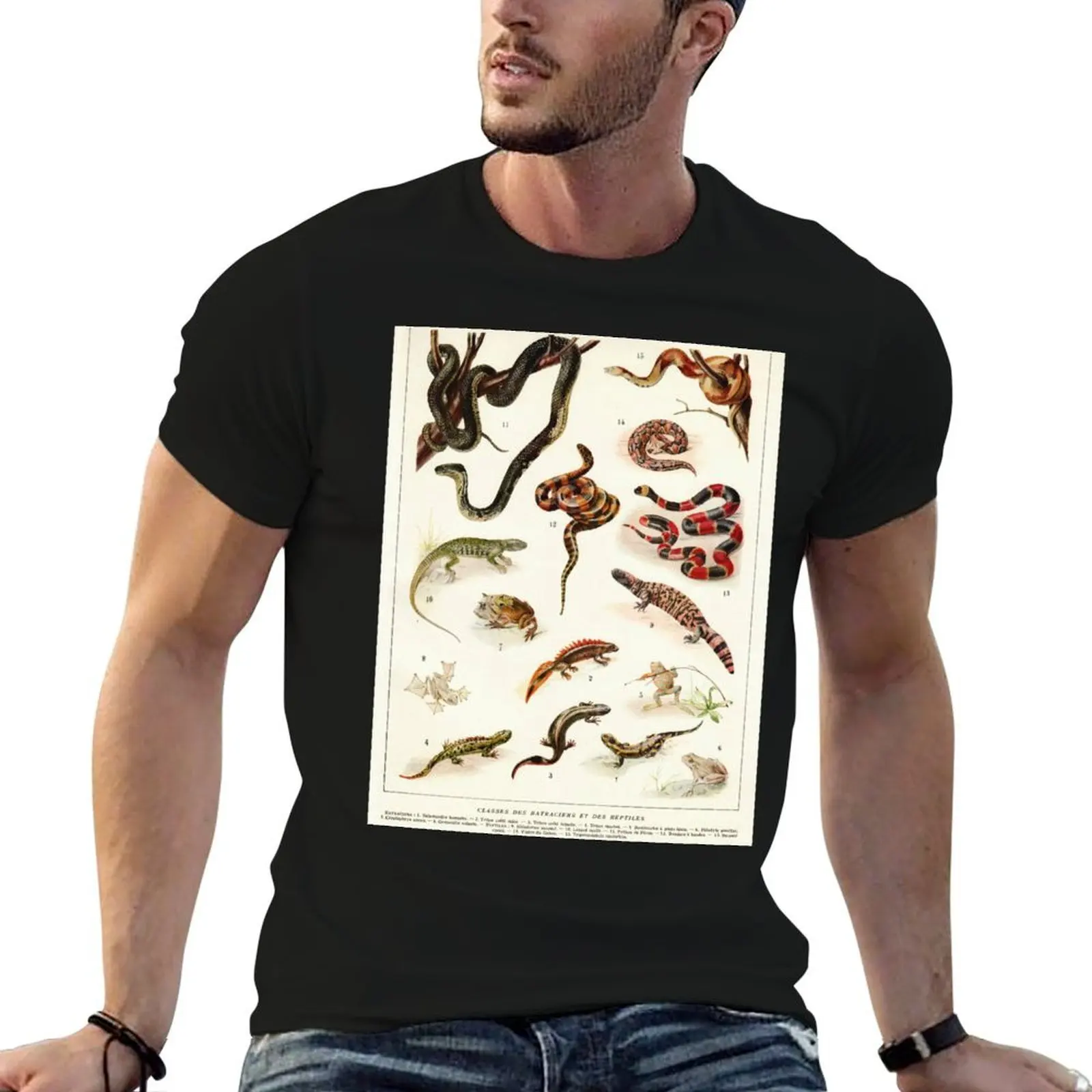Adolphe Millot - Batraciens et reptiles - French vintage zoology poster T-Shirt funny t shirts cotton essential t shirt T-Shirt