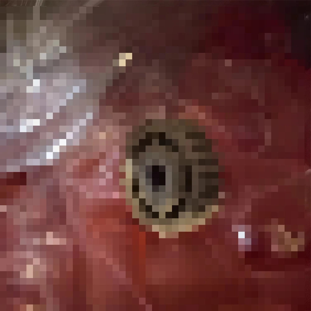 

1X FL3-1198-000 Fuser Drive Gear for Canon IR C5030 C5035 C5045 C5051 C5235 C5240 C5250 C5255 C5535 C5540 C5550 C5560 5030 5045