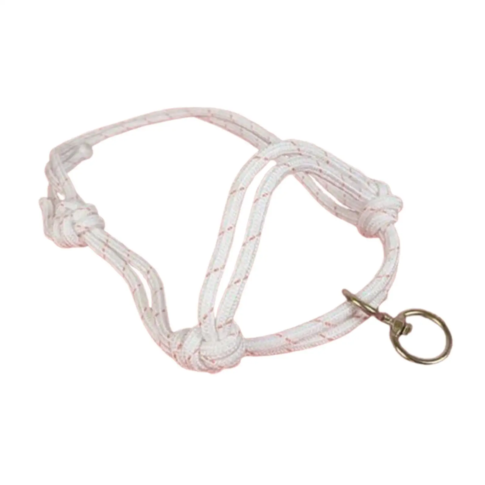 Reinforced Bull Bridle Cow Halter Strong Nylon Lead Rope Calf Livestock Tools for Cattle Handling on Farms