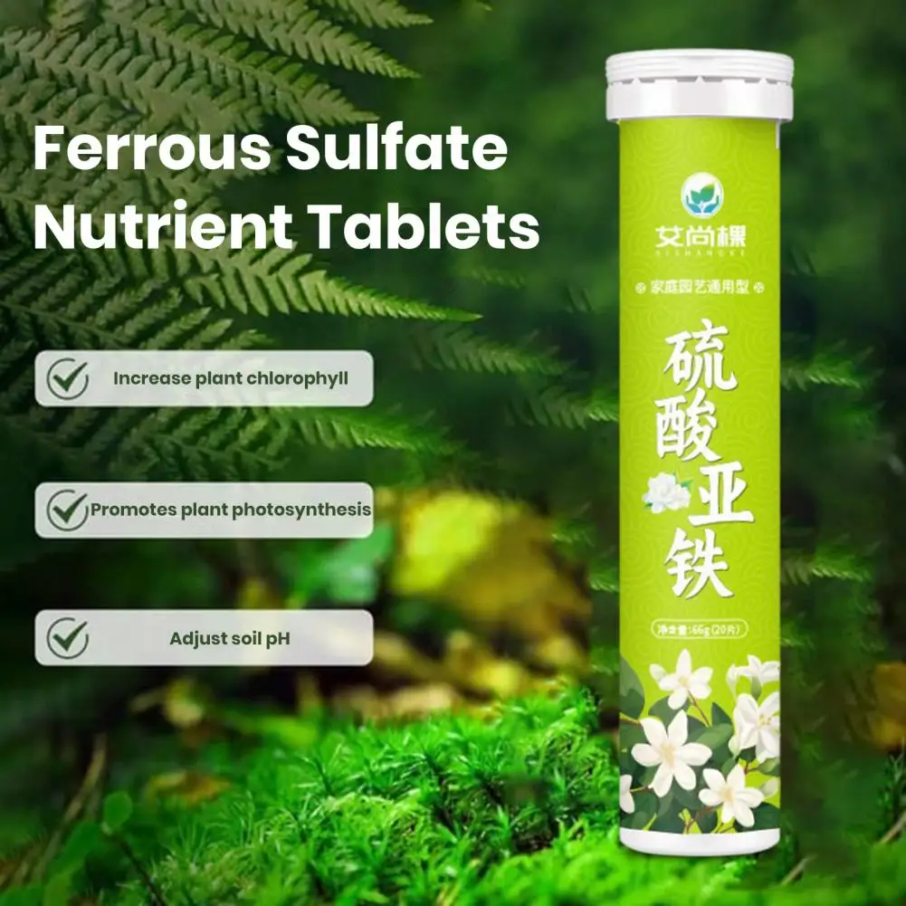 

Nutrient Ferrous Sulfate Tablet Plants Slow Release Fertilizer Slow Release Ferrous for Plants for Greenery for Gardening