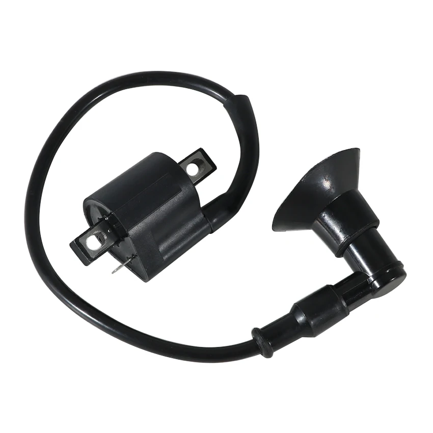 

Ignition Coil High Voltage Package For E-Ton Draco Tornado 50 For Malaguti Grizzly 50 For Baltmotors Jam 100/100RS 62310-NAF-00