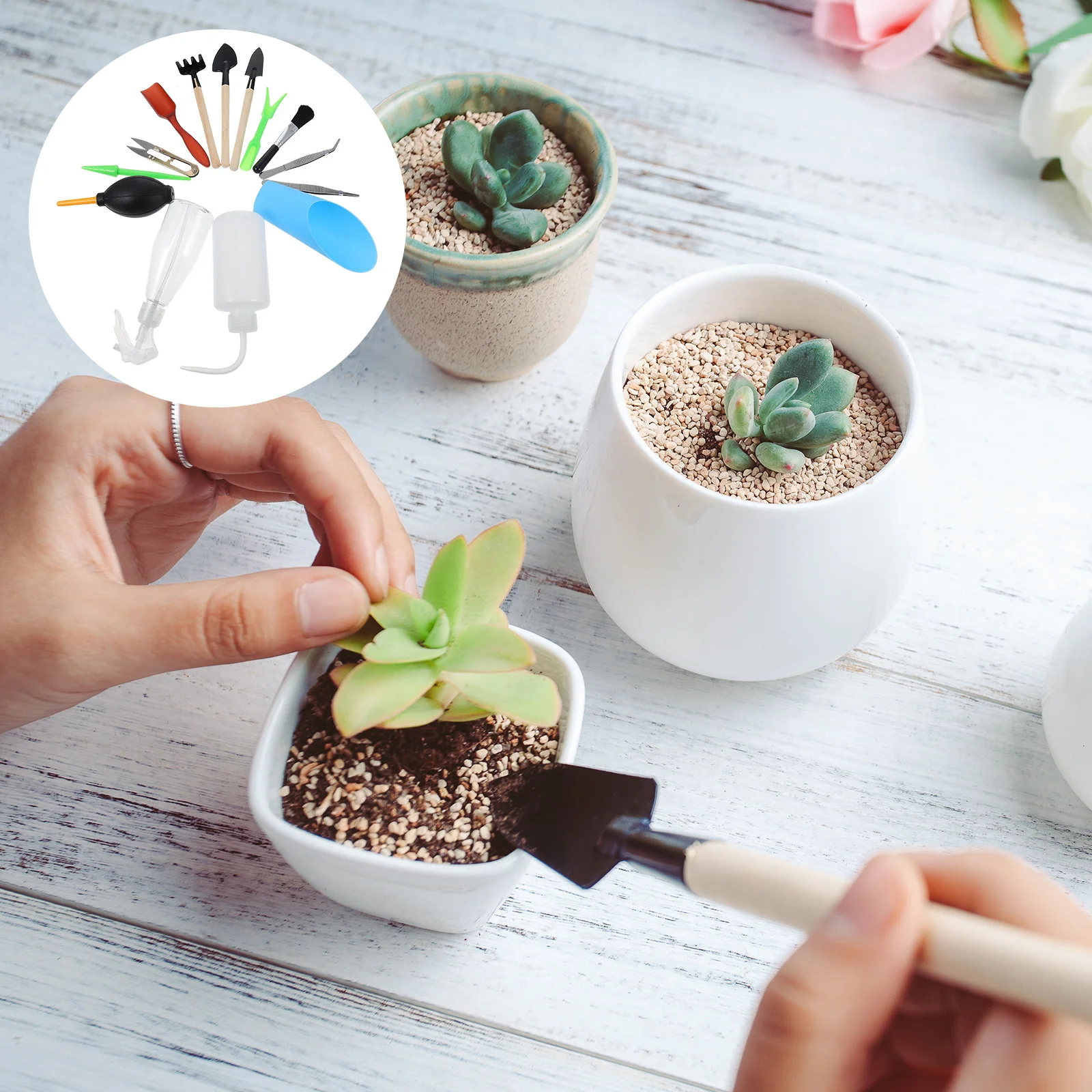 

1Set Succulent Planting Tools Garden Gadgets Ergonomic for Weeding Digging Transplanting Pruning Micro Landscape