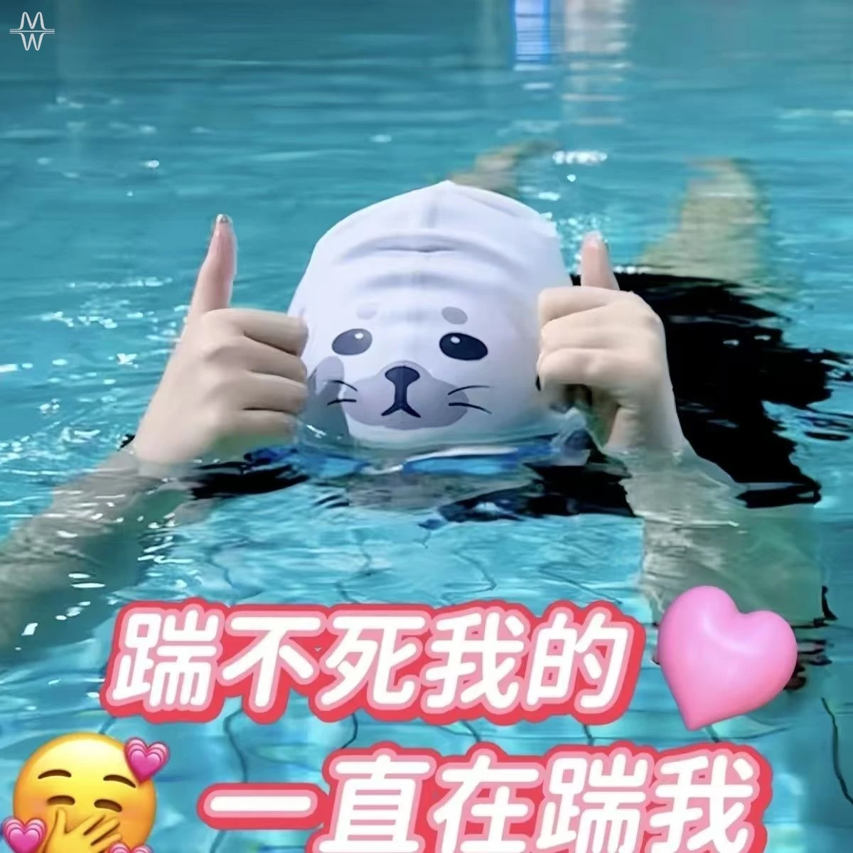 

Funny Seal Swim Cap, Waterproof Silicone Cute Animal Swimming Hat for Pool and Beach