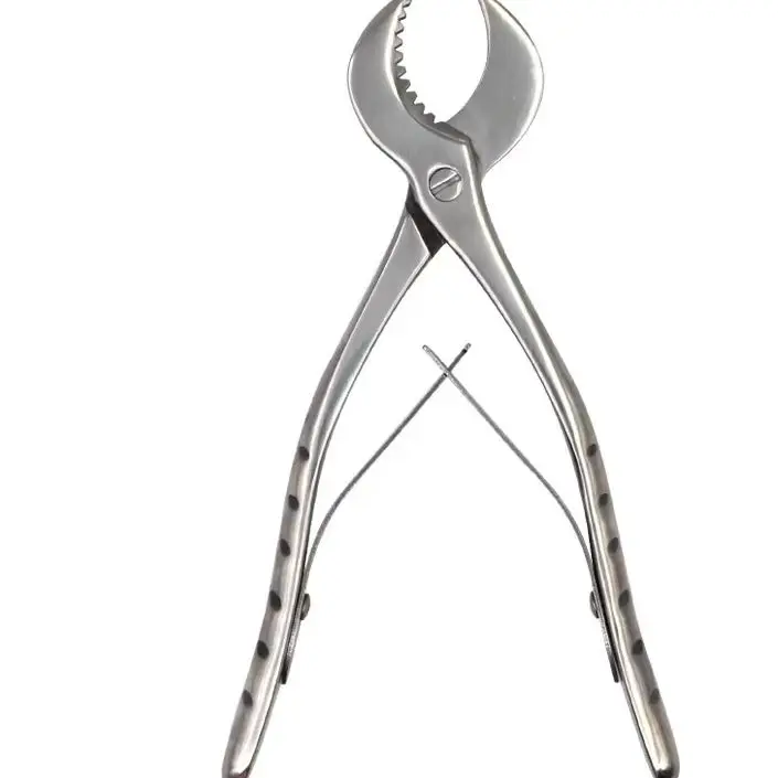 

Dental Plaster Scissors Gypsum Scissors Dentistry Material Plaster Cutter Stainless Steel Dental Lab Equipment