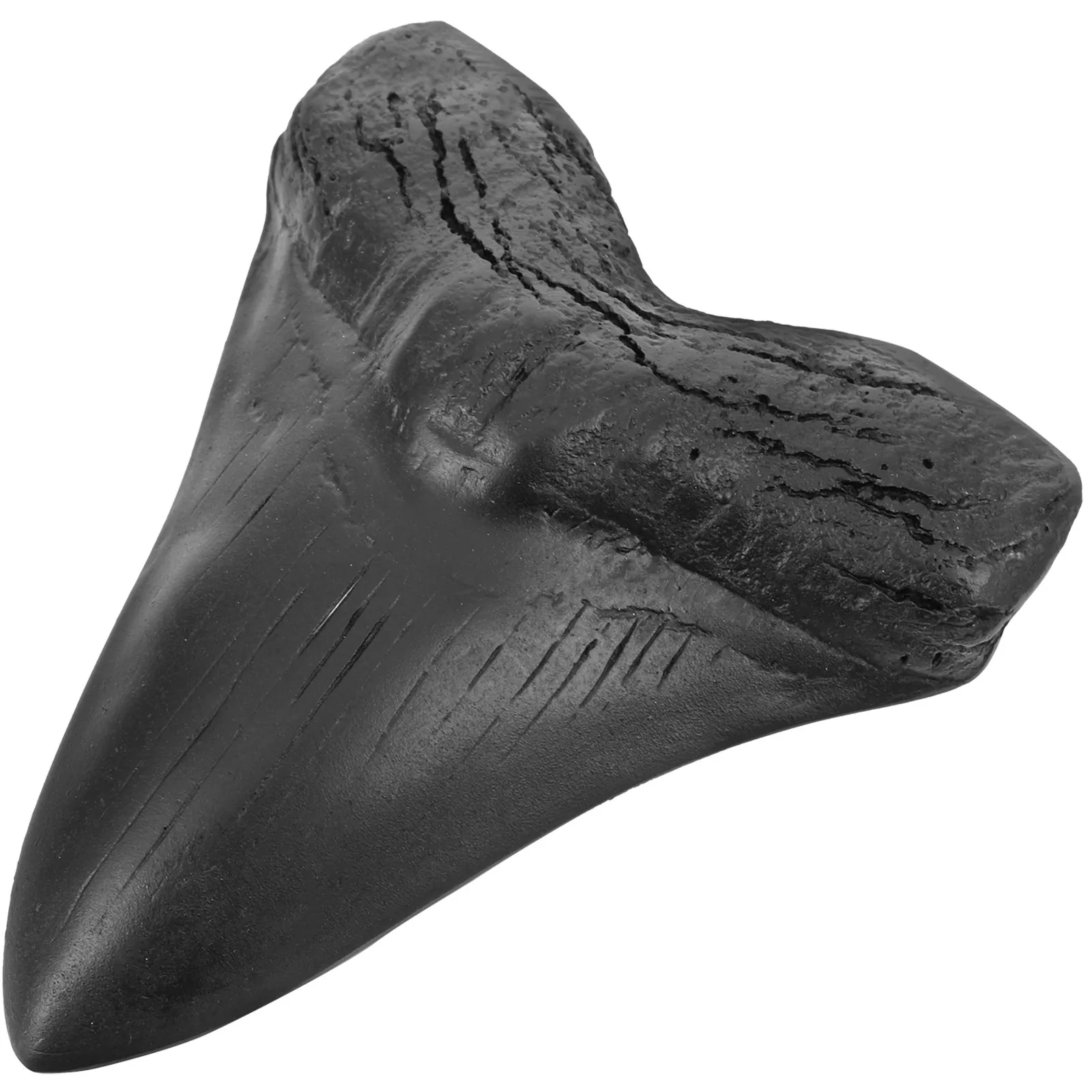 

Megalodon Shark Tooth Detailed Giant Shark Tooth Resin Craft Decor Prehistoric Decoration Ornament