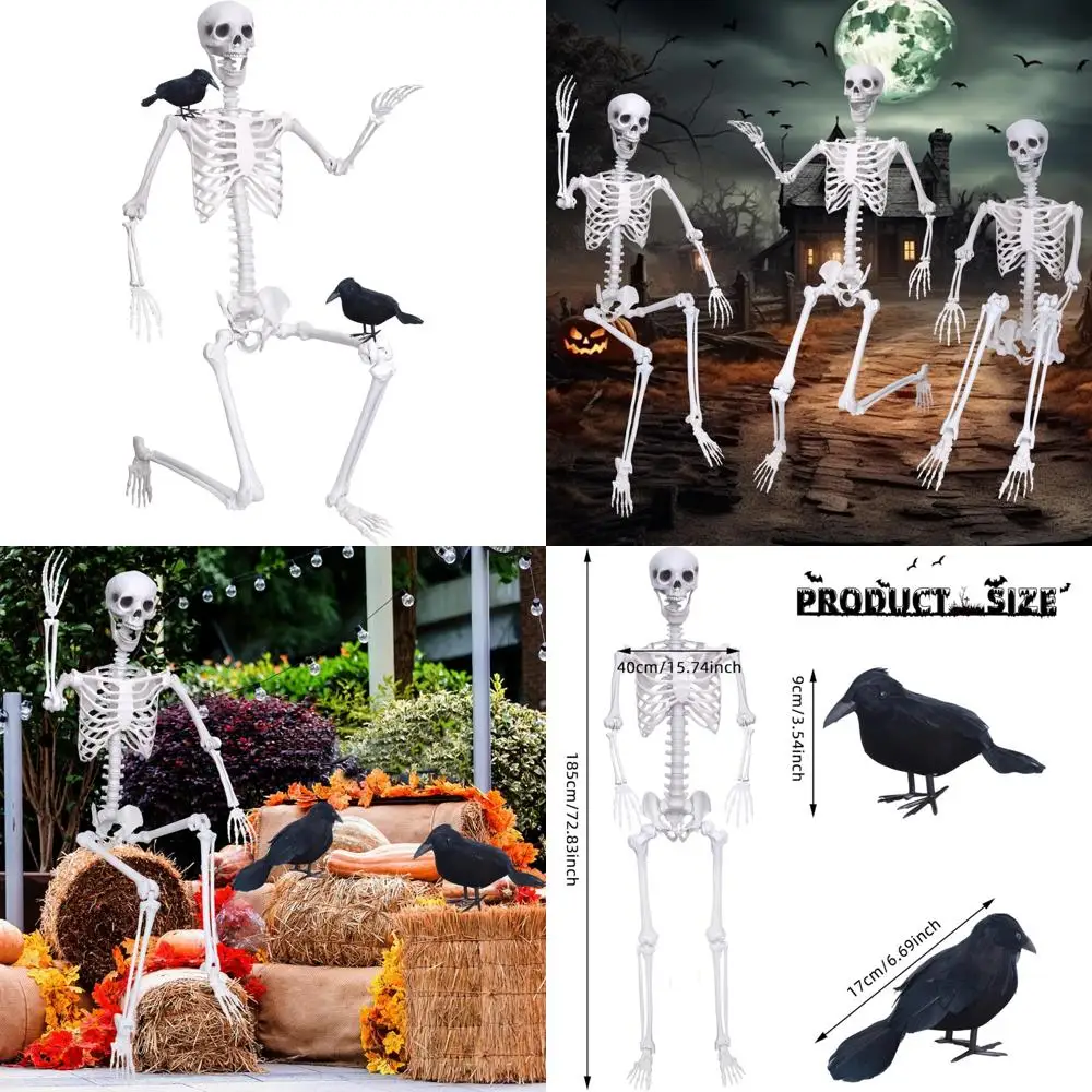 

Posable 6 Feet Tall Life-Size Skeleton with Movable Joints, Halloween Decor, Full Body Plastic Human Bones, Includes 2 Black Cro