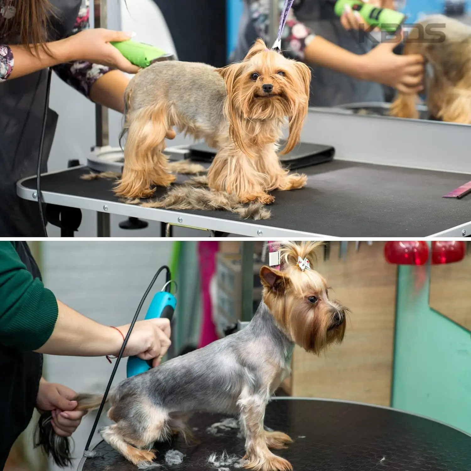 3F 4F 5F 7F 9# 10# 30# 40# 50# Professional Dog Clipper A5 Blade Fit Most Andis & Oster Pet Clippers