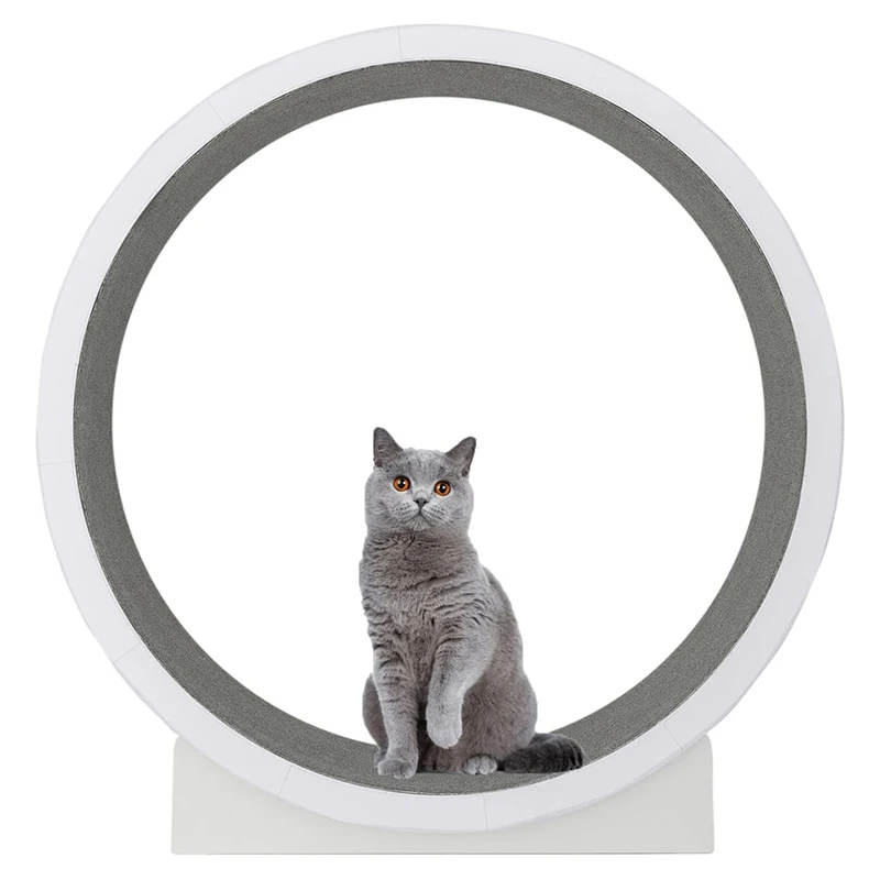 Interactive Exercise Wheel for Cats, Pet Treadmill, Gym Toys, Scratch Board, Game Park for Cats, Games, Pets Products