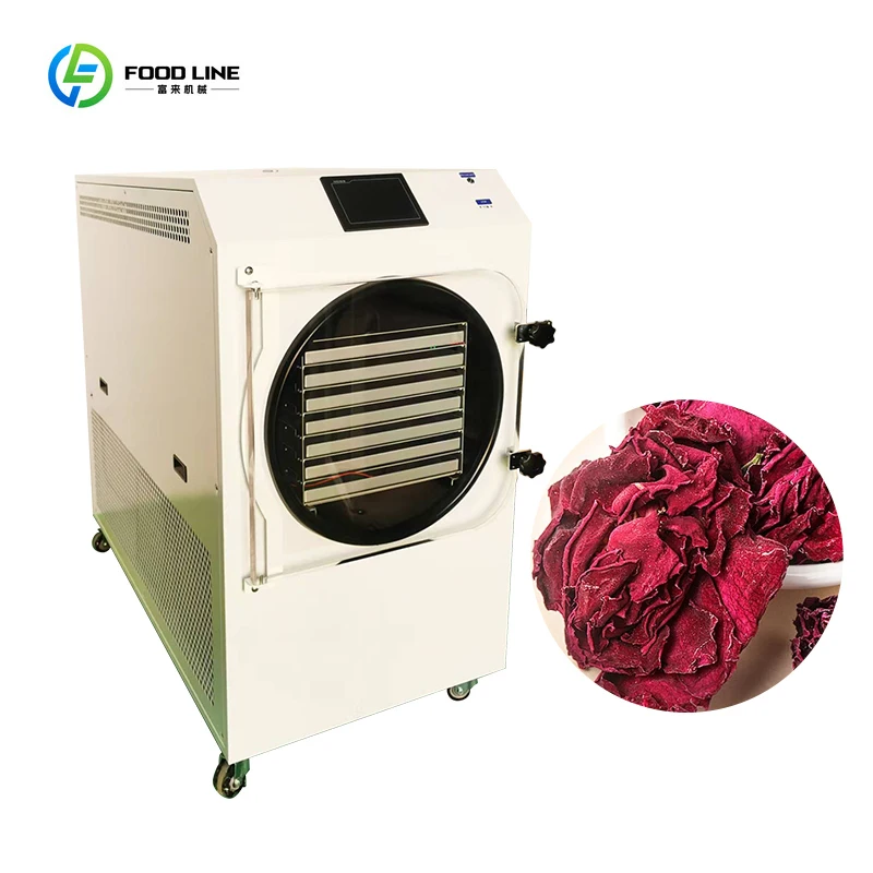 مساحة صينية تجارية 3.5 م2 HFD-35 مجفف تجميد 55 كجم لأغذية الفاكهة والخضروات #4