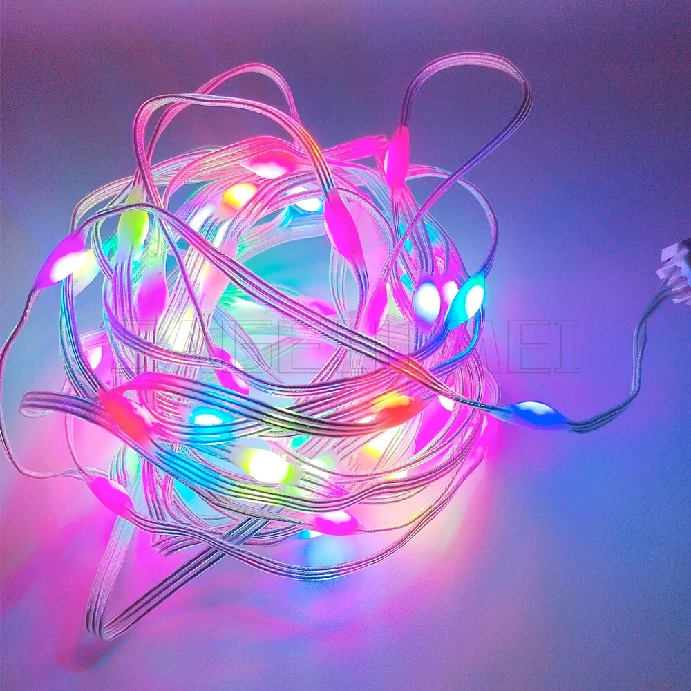 DC5V/12 فولت WS2812 LED سلسلة ضوء RGB الجنية مصباح IP65 مقاوم للماء لأضواء شجرة عيد الميلاد ديكور المنزل 5 متر لون الحلم عنونة