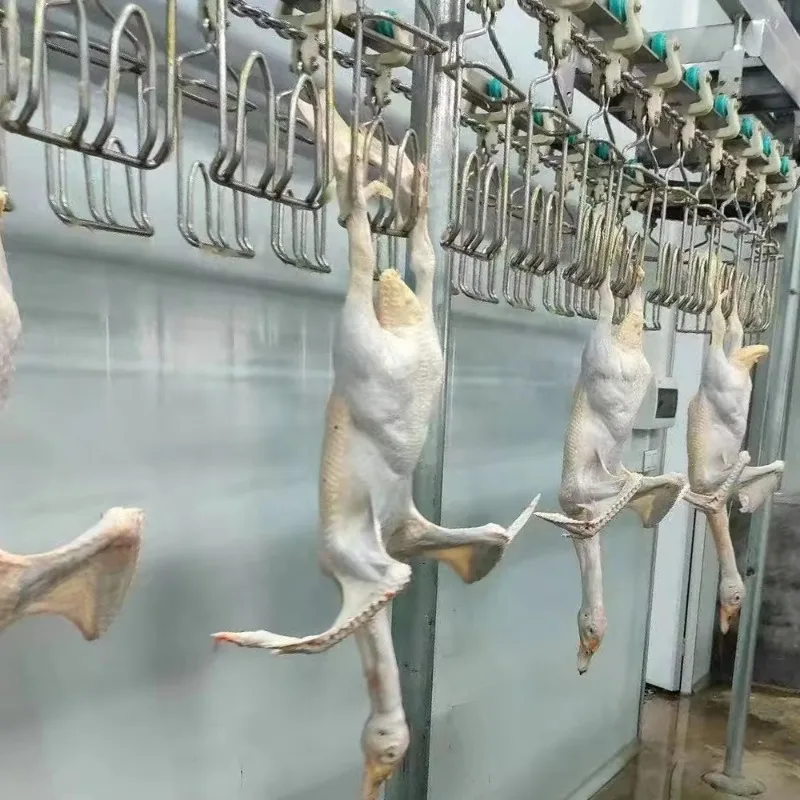 Halal 1500-2500bph Poultry Slaughter Production Line Duck Goose Slaughter House Machine