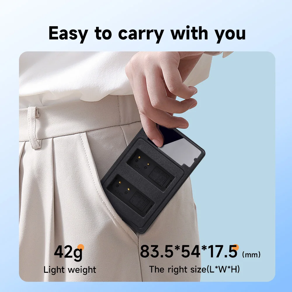 PALO DMW-BLG10 BLG10 BLG10E BLE9 BLE9E Batterie avec LCD Chargeur USB pour Panasonic LUMIX GF3 GF5 GF6 GX7 GX9 LX100 GX80 GX85