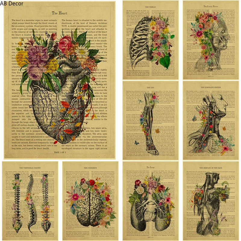 Pósteres de anatomía de corazón humano/pulmón/treso/cerebrum con flores y descripción, impresiones Retro, decoración médica para el hogar, pintura