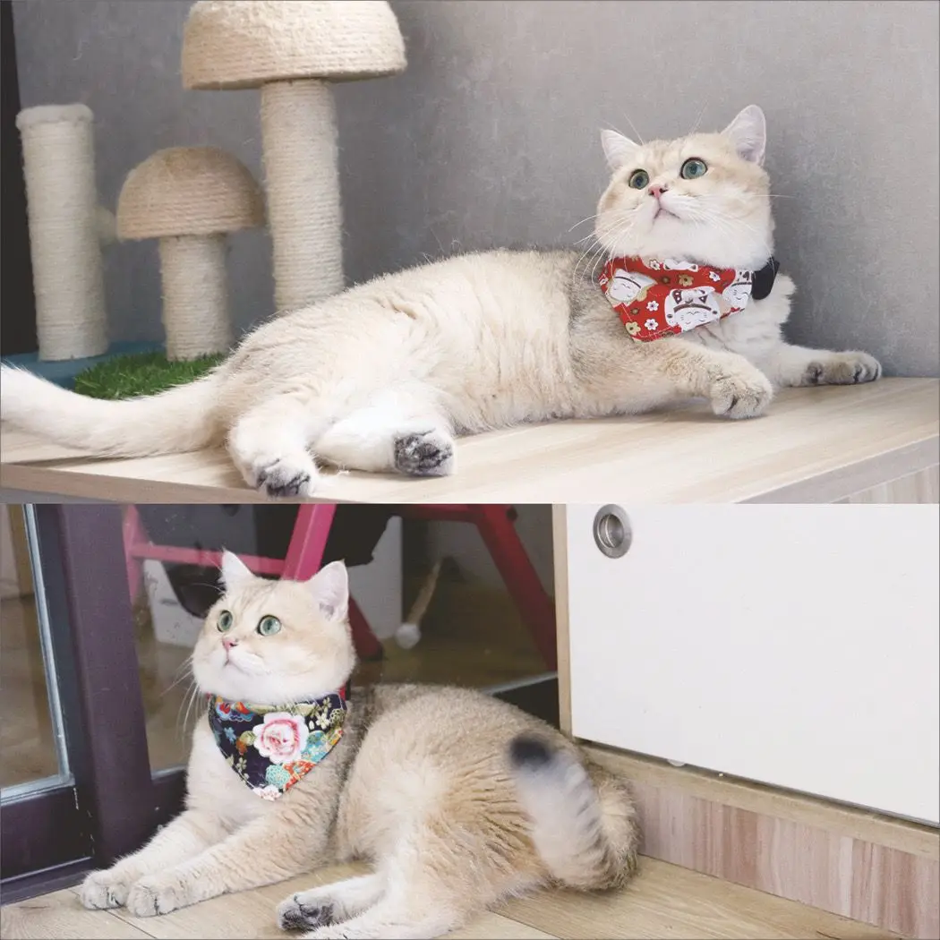 Pet collar decoration cat Japanese style triangle scarf adjustable collar cute cotton small dog and cat universal drool scarf