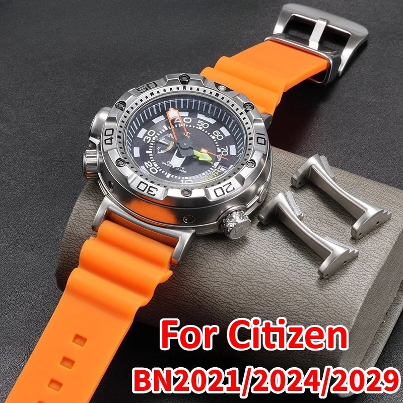 시티즌 BN2029-01E BN2024-05E 빅/히구 - Citizen Watch Promaster 리뷰 및 가격