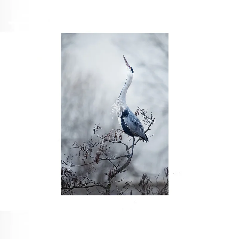 Grey Heron, Print Art Canvas Poster, Living Room, Home Wall Decor Picture