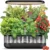 Indoor Hydroponic Systems, Small Garden Supplies & Artisan Pottery | Faebloom 8 Indoor hydroponics growing system Premium adjustable herb kit transparent black ABS 4.2L pump