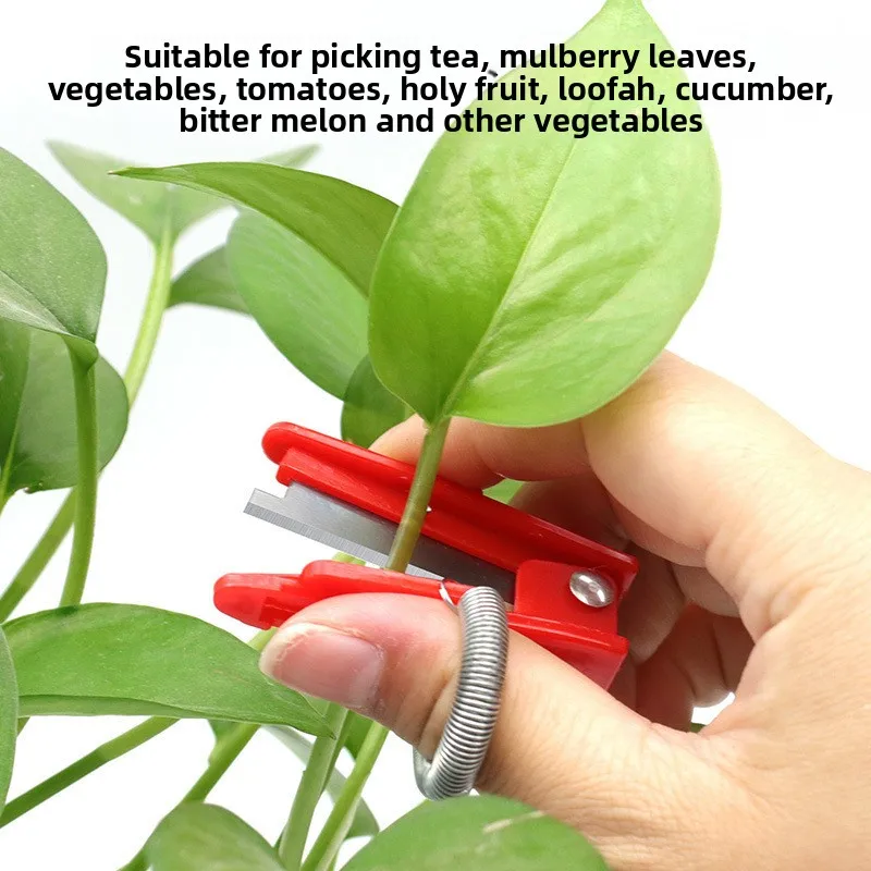 Anillos para recoger, cuchillos, herramientas para recoger verduras, guillotina pequeña, granos para recoger uvas, bigotes para pellizcar, recogedores de frutas puntiagudos