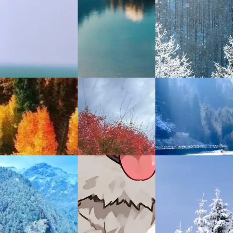 Portable Digital Ra…