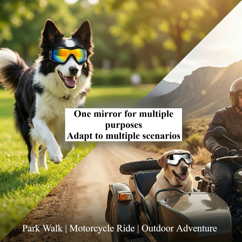 Dog Goggles Windproof UV Resistant Dust-proof with Adjustable Double Straps FOR Small and Medium-sized Dogs Dogs Accessories