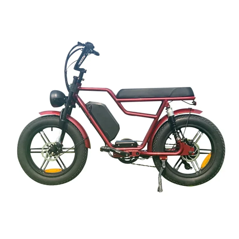 Factory Supply Motorcycle Electric Bikee for Adult