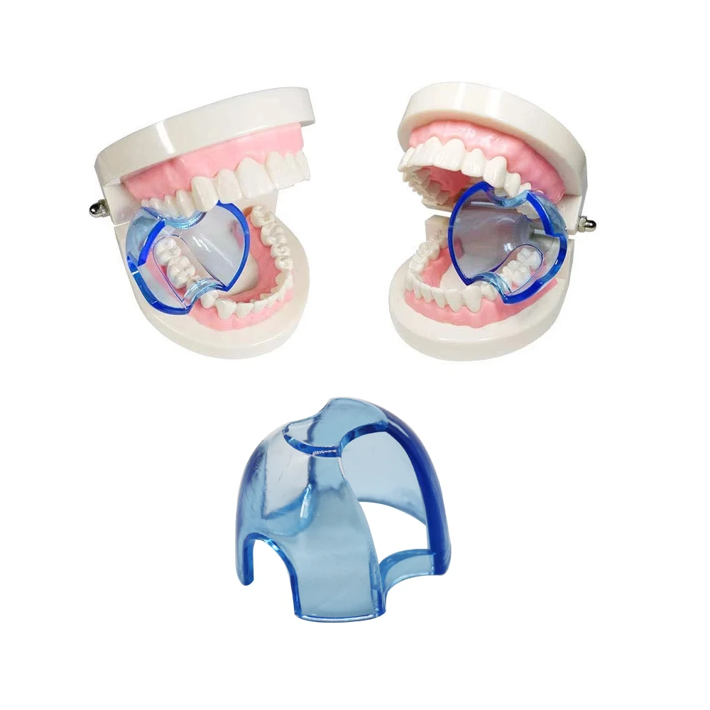 10pcs Dental Autoclavable Lip Retractor Cheek Expander Mouth Opener for Anterior/Posterior Teeth as Dentist Clinic Oral Care