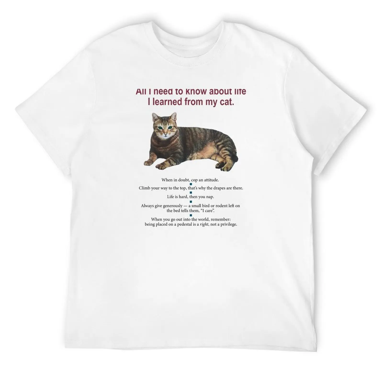 All I need to know about life I learned from my cat T-Shirt new gifts and t-shirts summer clothes mens funny t shirts