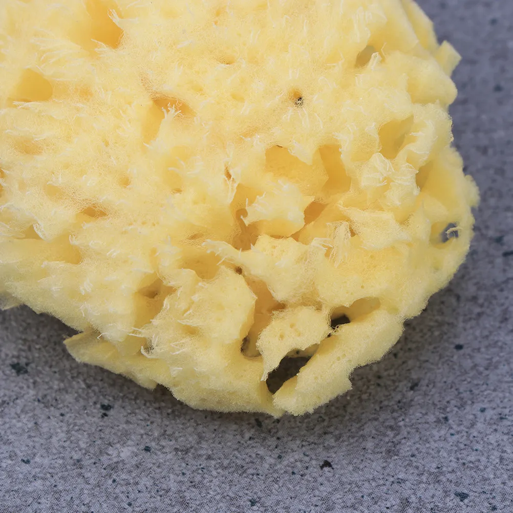 Honeycomb Sponge 3.5 to 4.0 Inches Natural Bath Sponge for Sensitive Skin Gentle Cleansing Massage for Kids Adults Home Travel