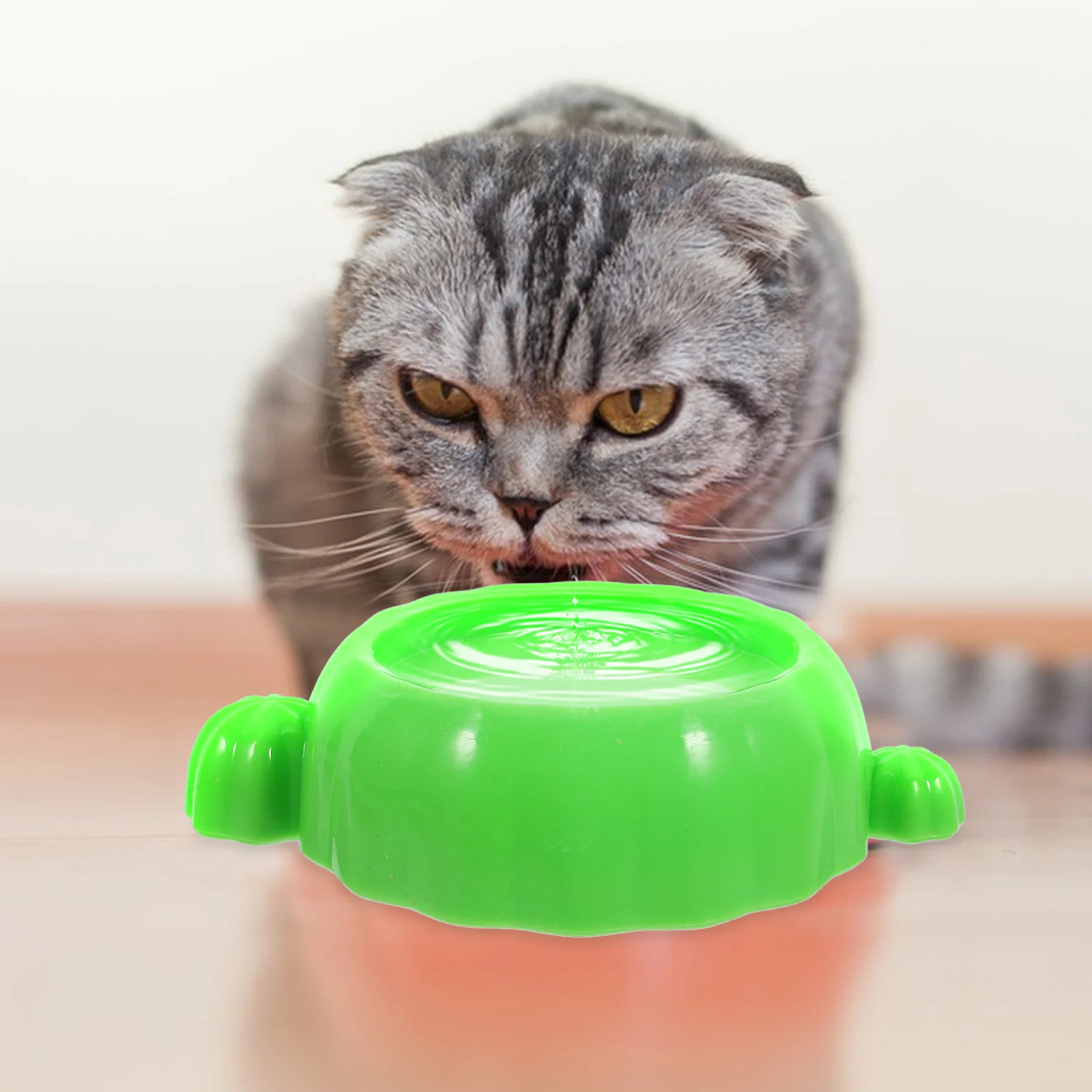 

Elevated Cat Cactus Shaped Reusable Pet Feeding Bowl Raised Food Bowl For Dry Wet Food Non Skid Base Easy Clean Safe Comfortable