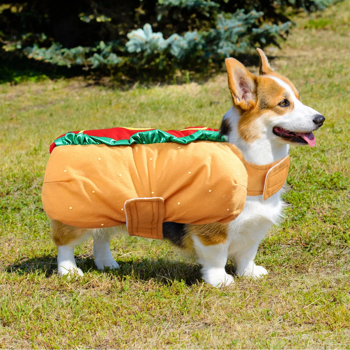 

Hot Dog Burger Transformation Costume For Dogs Cats Halloween Pet Dress Up Cosplay Pet Costume Dog Clothes Cat Clothes For
