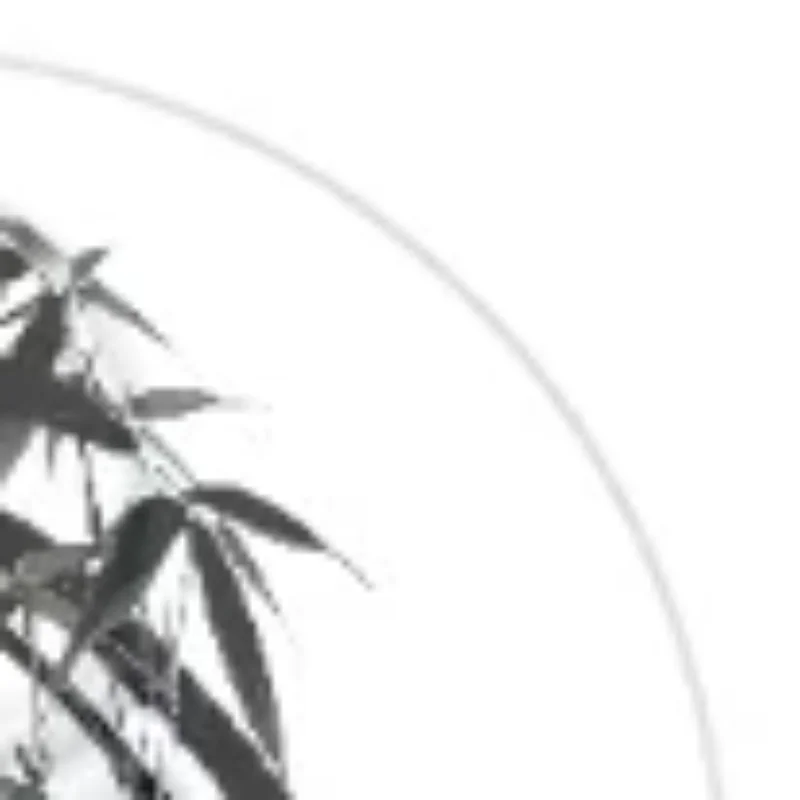 12 قطعة 75 سنتيمتر 2/0 3/0 4/0 5/0 إبرة طبية خياطة النايلون البوليستر الموضوع خياطة الممارسة عدة التدريس المظاهرات تمارين