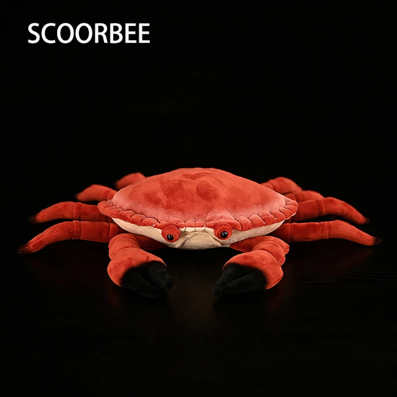 Cute Edible Crab Plush Toy High Fidelity Dungeness Crabs Plushie Animals Calappa philargius Soft Simulation Doll Lifelike Kids