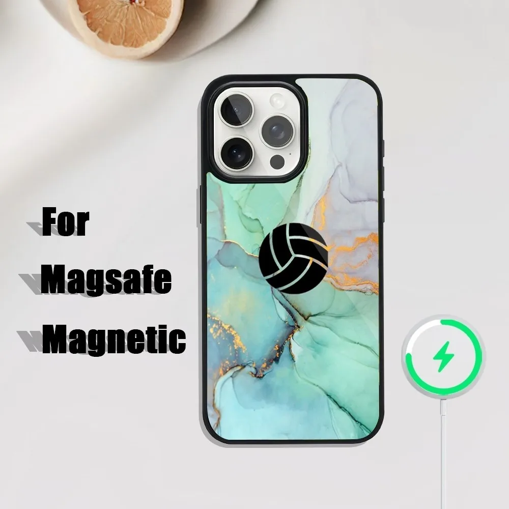 Volleyball Painted Phone Case For iPhone 16,15,14,13,12,11,Plus,Pro,Max Mini Magsafe Magnetic Wireless Charging