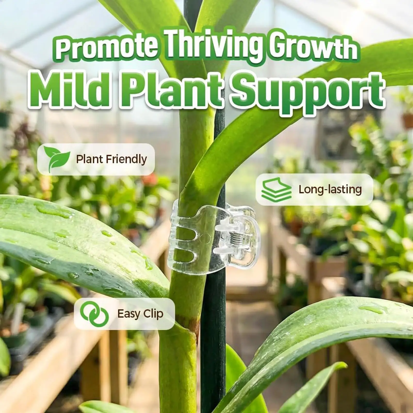 Plant Clips 50 Pieces Garden Climbing Plants Support Grapevine Fixing Clips for Garden Indoor Outdoor Greenhouse Tomato Orchid