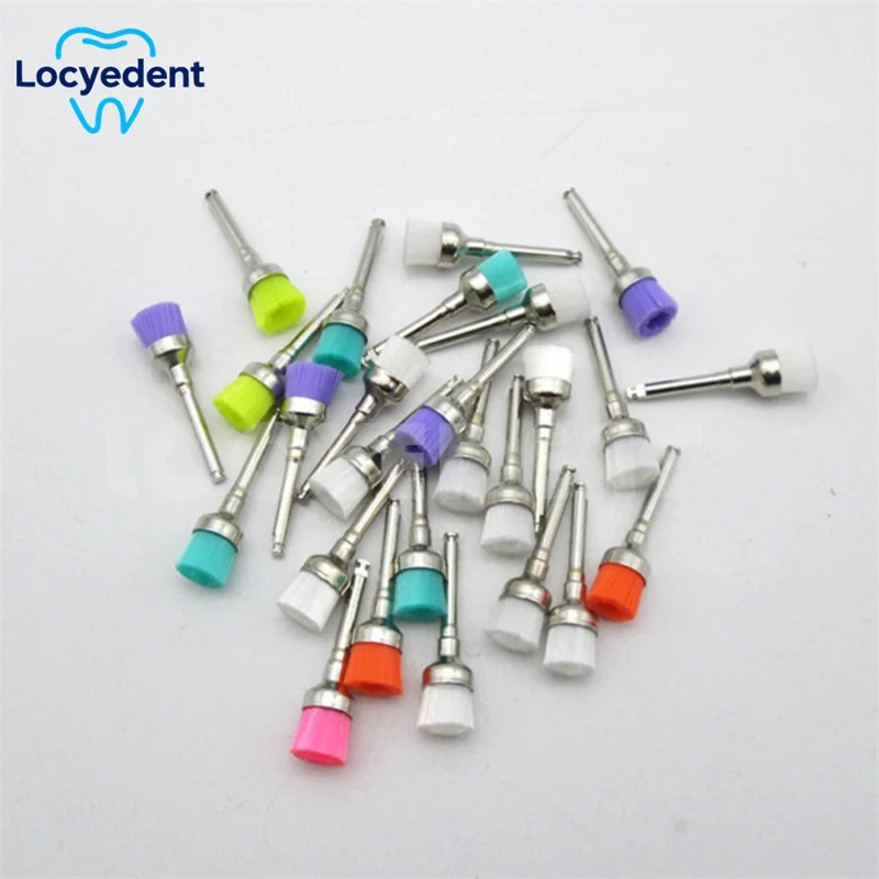 

100pcs Disposable Oral Plastic Consumables Polishing Nylon Bristle Polisher Bowl Shape Dental Prophy Brushes Stain Removal