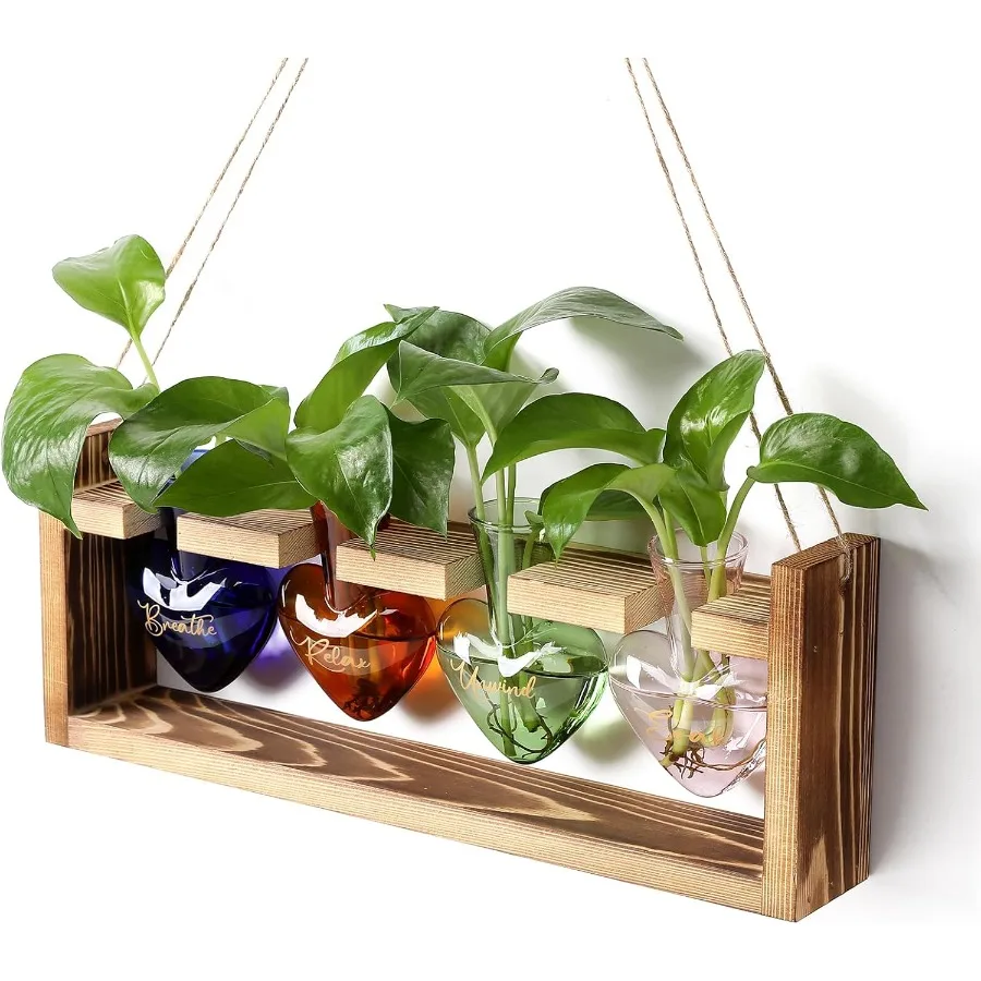

Plants Propagation Stations Plant Terrarium Kit for Bathroom Glass Planters for Indoor Plants Bathroom Dr Accessories Relax Soa