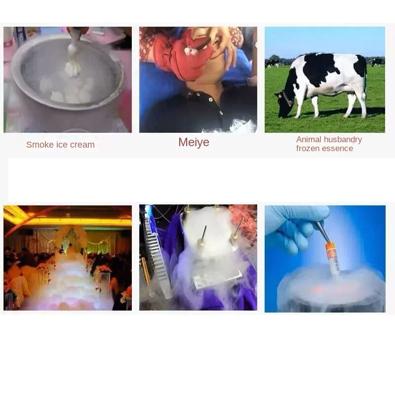 

10L Liquid Nitrogen Container 50mm Caliber Cryogenic Dewar Tank for Storage And Transport of Liquid Nitrogen