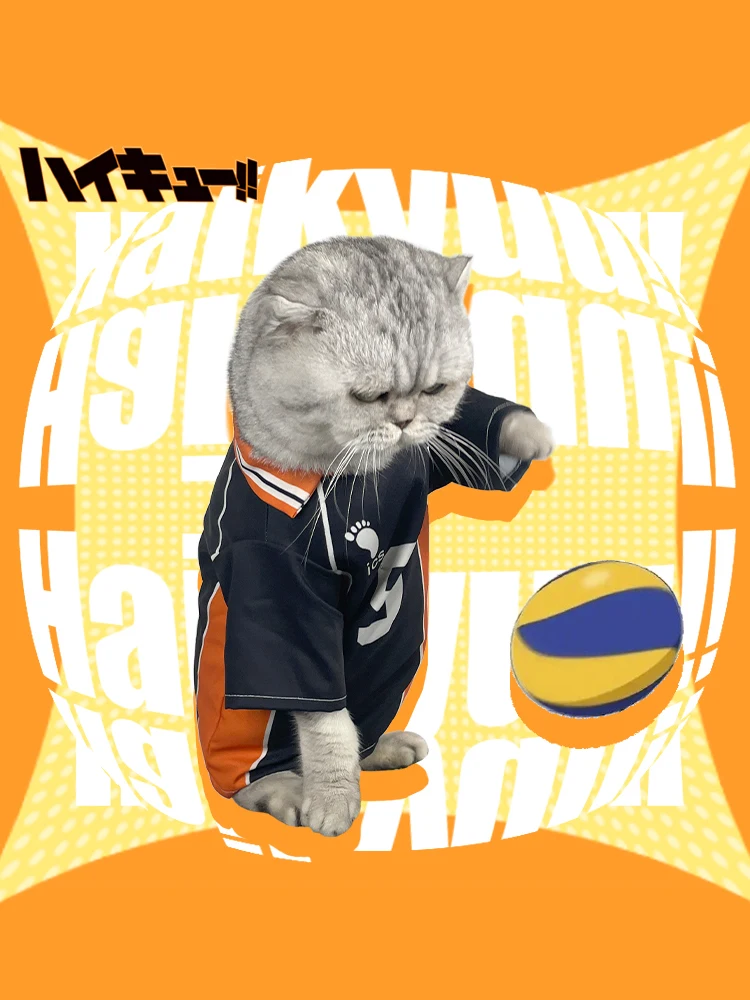 Yingshan Feixiong الحيوانات الأليفة تي شيرت الكرة الطائرة الصغيرة الصبي القط كوس على البخار الكعك ووي جامعة الملابس الكلب التصوير الملابس