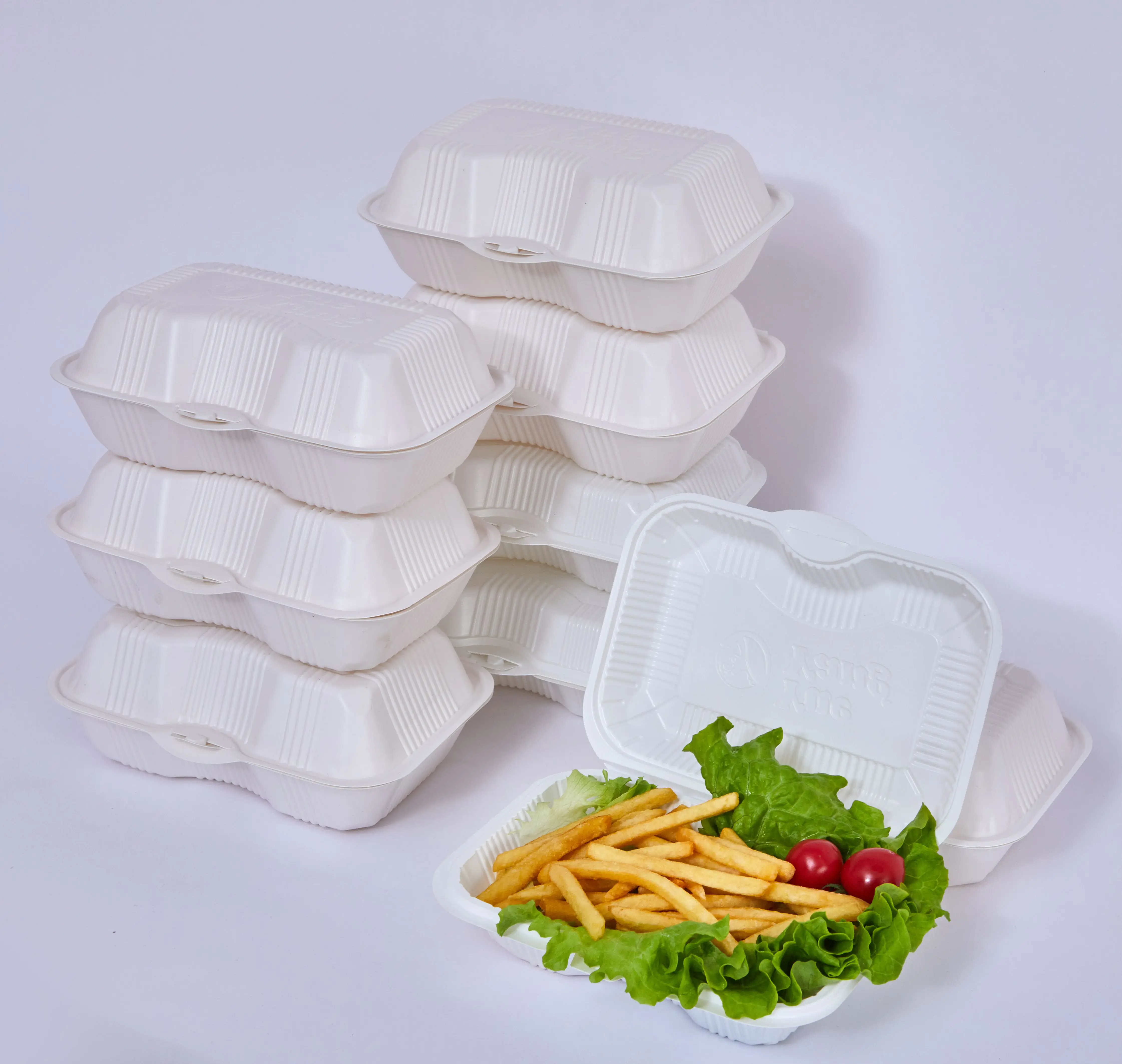 

Disposable 8 Inch 9 Inch Square One Compartment Hinged Lid Clamshell Takeaway Blister Food Container
