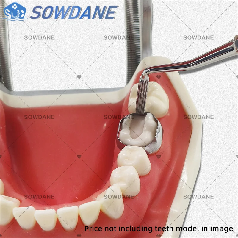 Tubo empurrador de banda ortodôntica dentária de extremidades duplas, ponta longa e curta com raspador, instrumento de limpeza de dentes