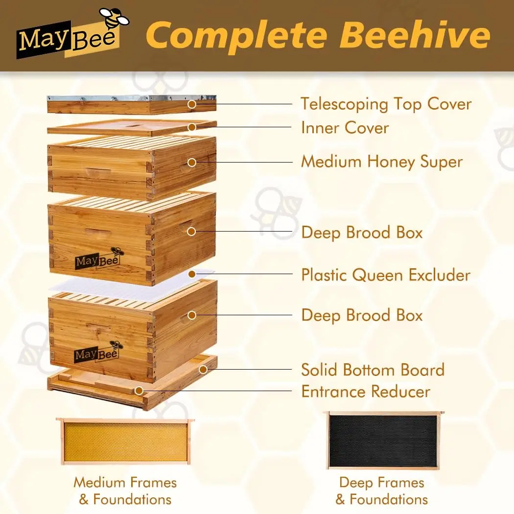 Langstroth Beehive Dipped in 100% Beeswax, Complete Bee Hives and Supplies Starter Kit Includes 2 Deep Hive Bee Box and 1 Bee Hi