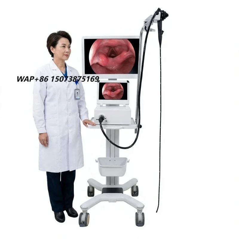 Integrated Tower Endoscope System 1080P high definition surgical endoscope, veterinary endoscope for veterinary use