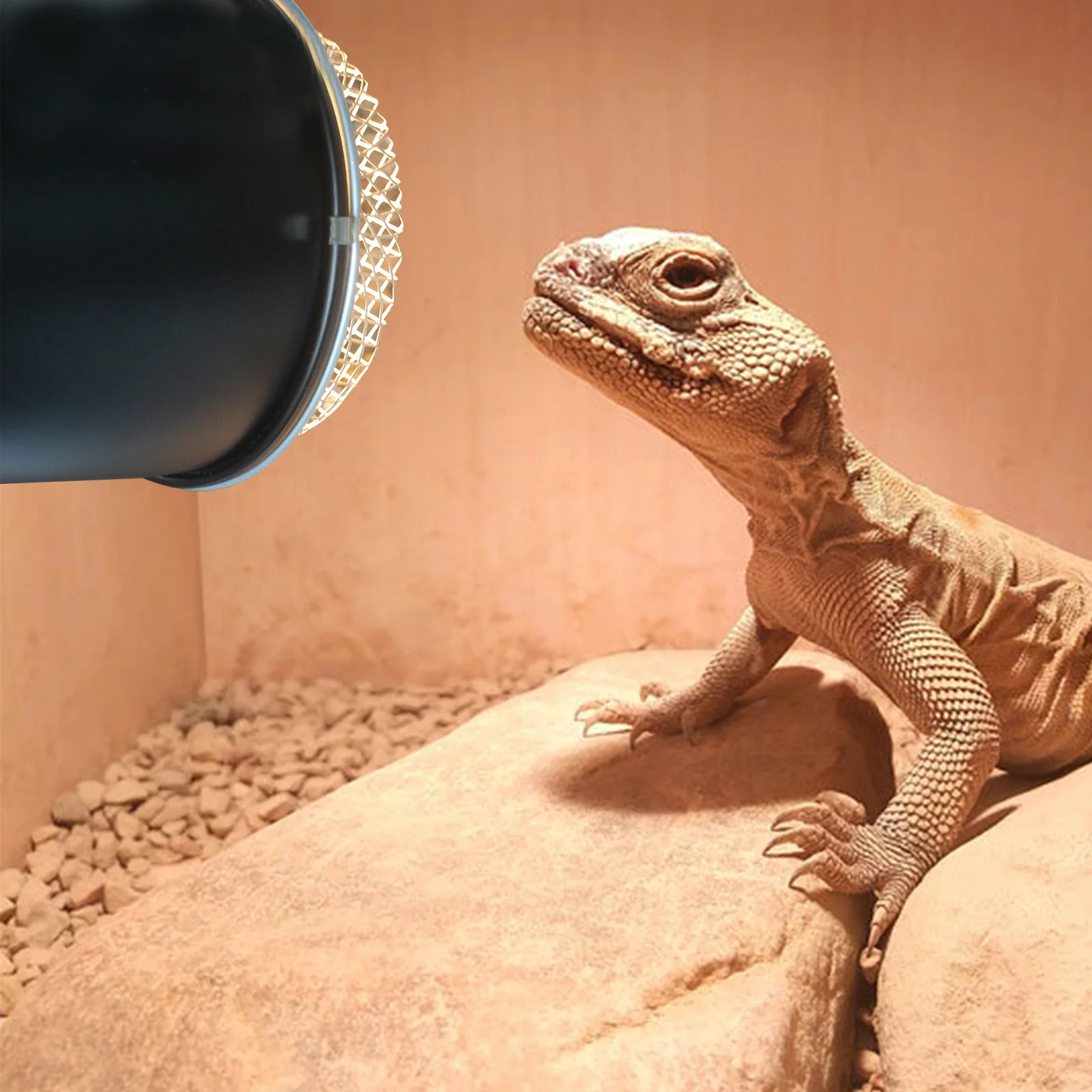 

5.5 Inch Reptile Heat Lamp Cover Anti Scald Insulation Dome Guard Mesh Lightbulb Covers Sturdy UV Box Lighting Accessories Pet