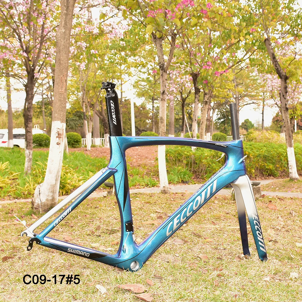 2024 Popular Carbon Road Bike Frame Model Factory Price Frameset T1000 UD Weave Racing Bicycle Frame Hot Selling